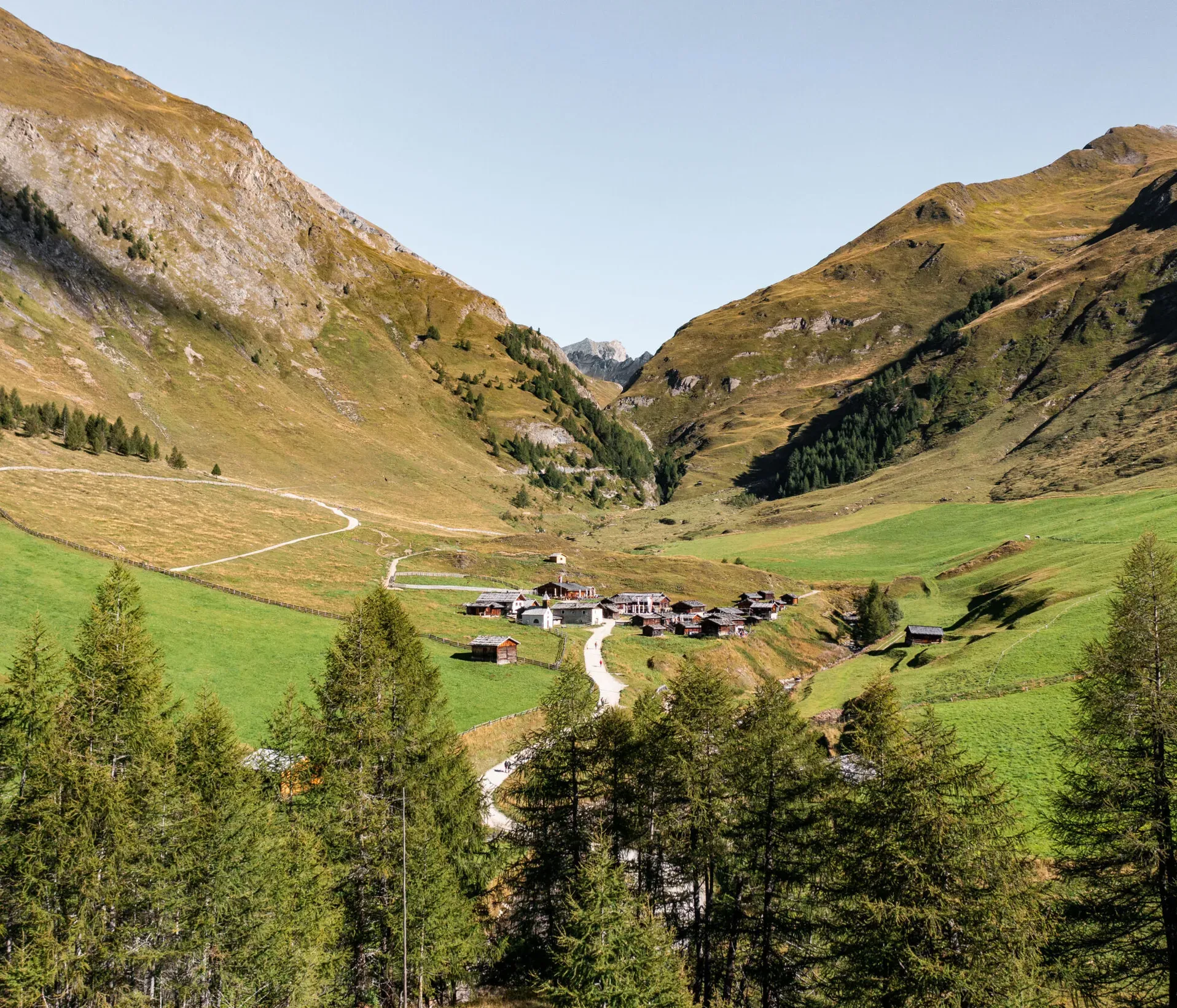 Scenic alpine valley with lush green grass and scattered trees. A quaint village sits in the center, surrounded by towering mountains under a clear sky.