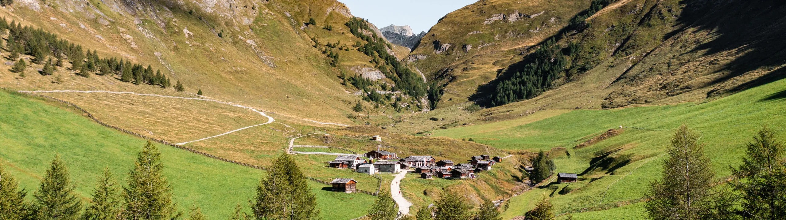 Malersiches Alpental mit üppigem grünen Gras und vereinzelt stehenden Bäumen. Ein idyllisches Dorf liegt in der Mitte, umgeben von imposanten Bergen unter klarem Himmel.
