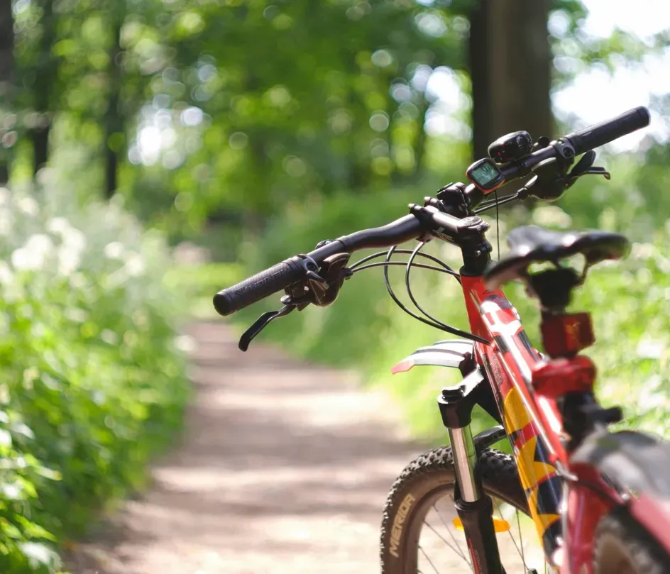 Red shuheart Mwn Gv Yex G4 I unsplash