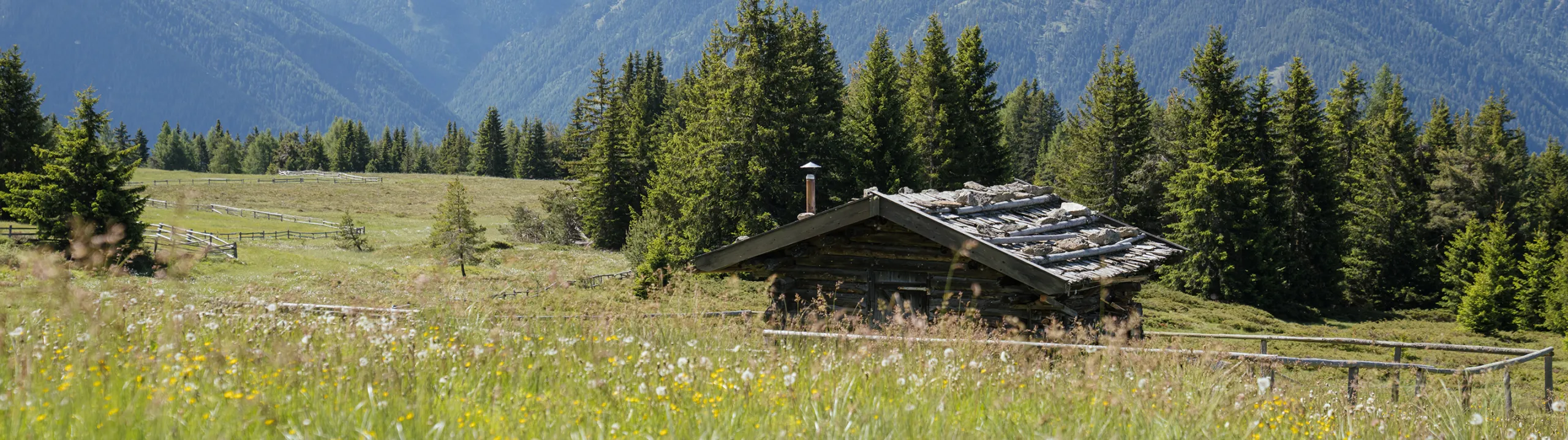 Dolorama Rodeneck 02108