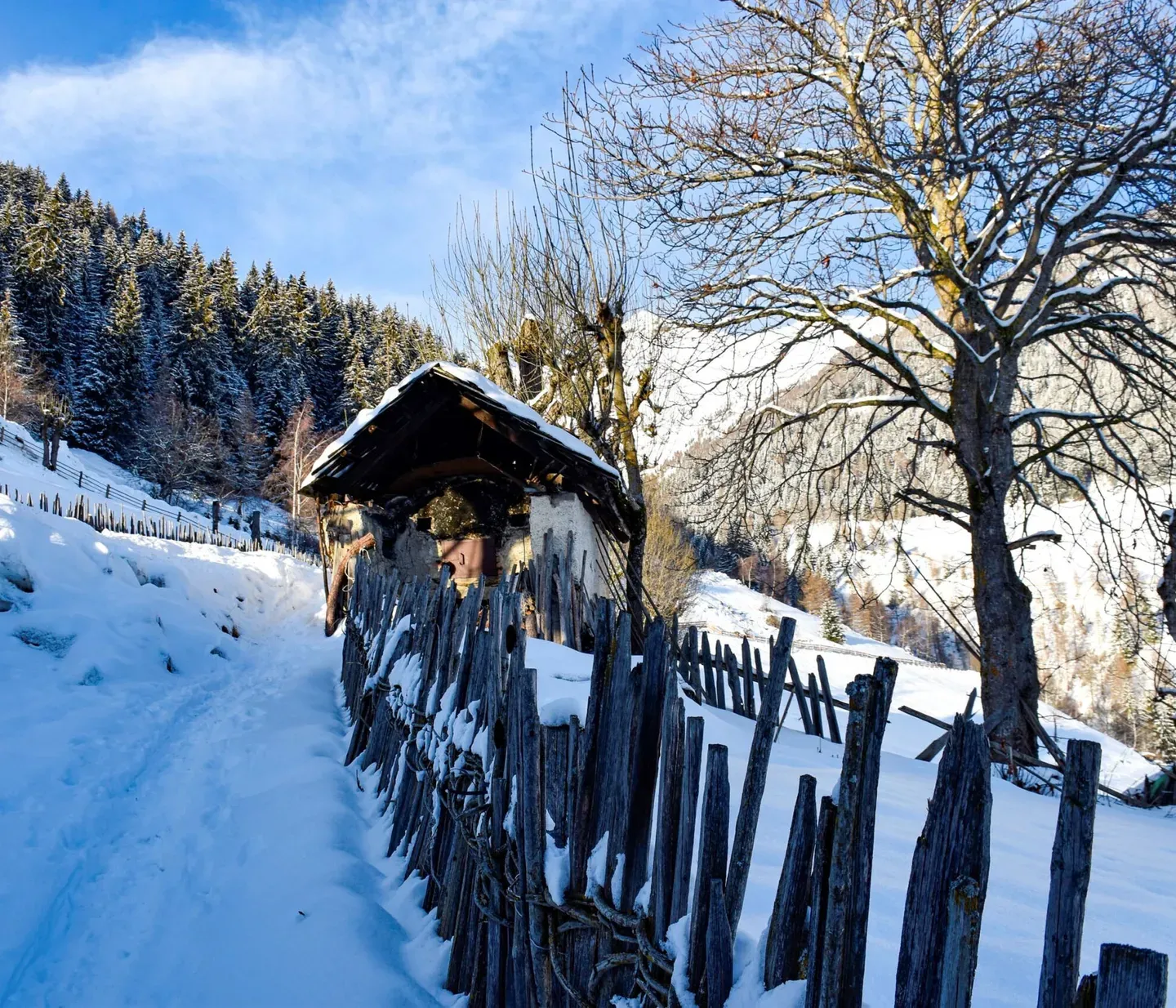 Terenten Winter Augustin Lechner 7