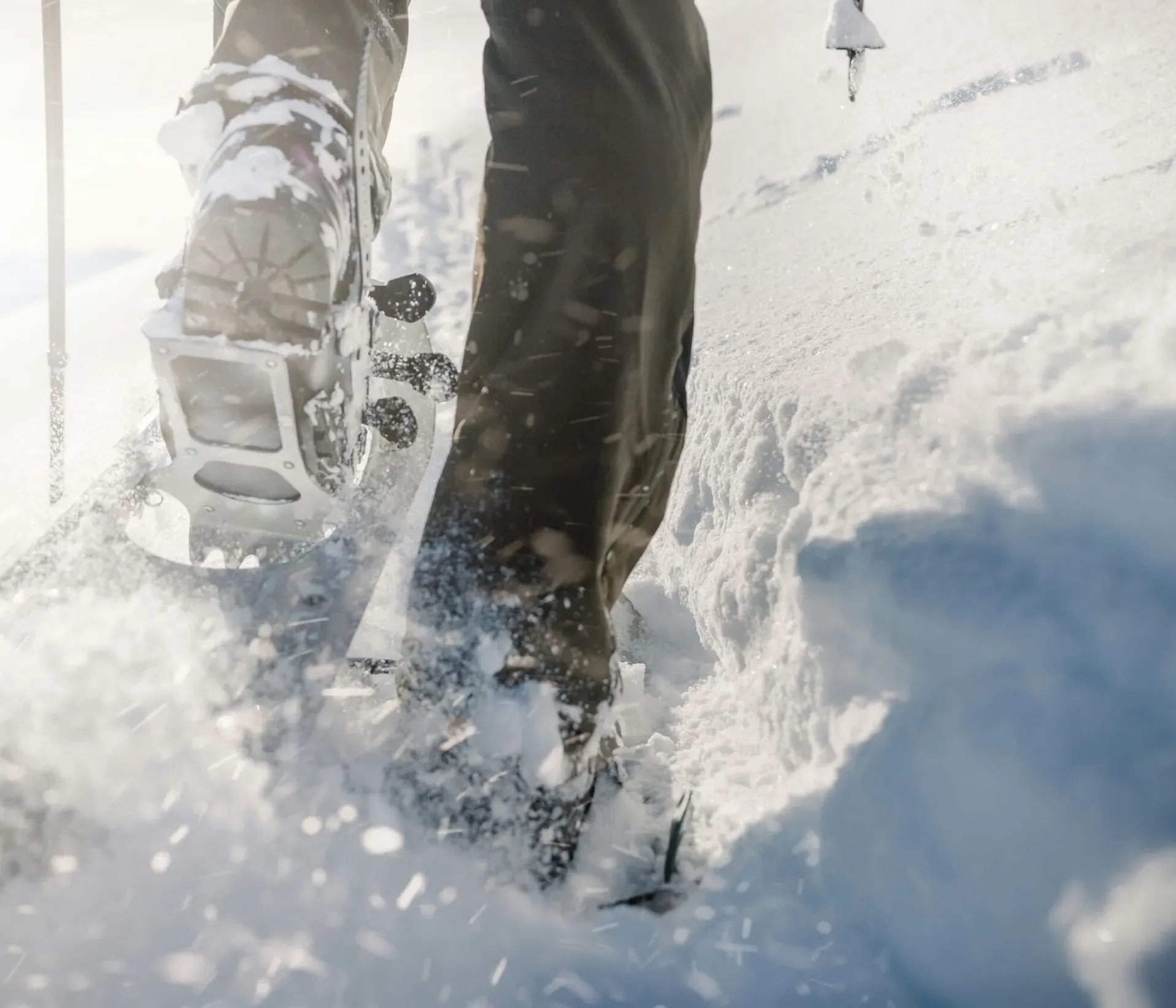 Joris meier A Dqg SNIJBIY unsplash