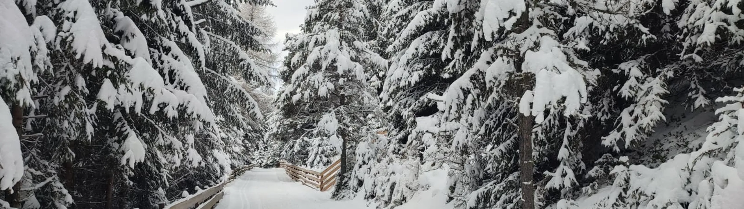 Whats App Image 2026 01 29 at 16 08 39 1