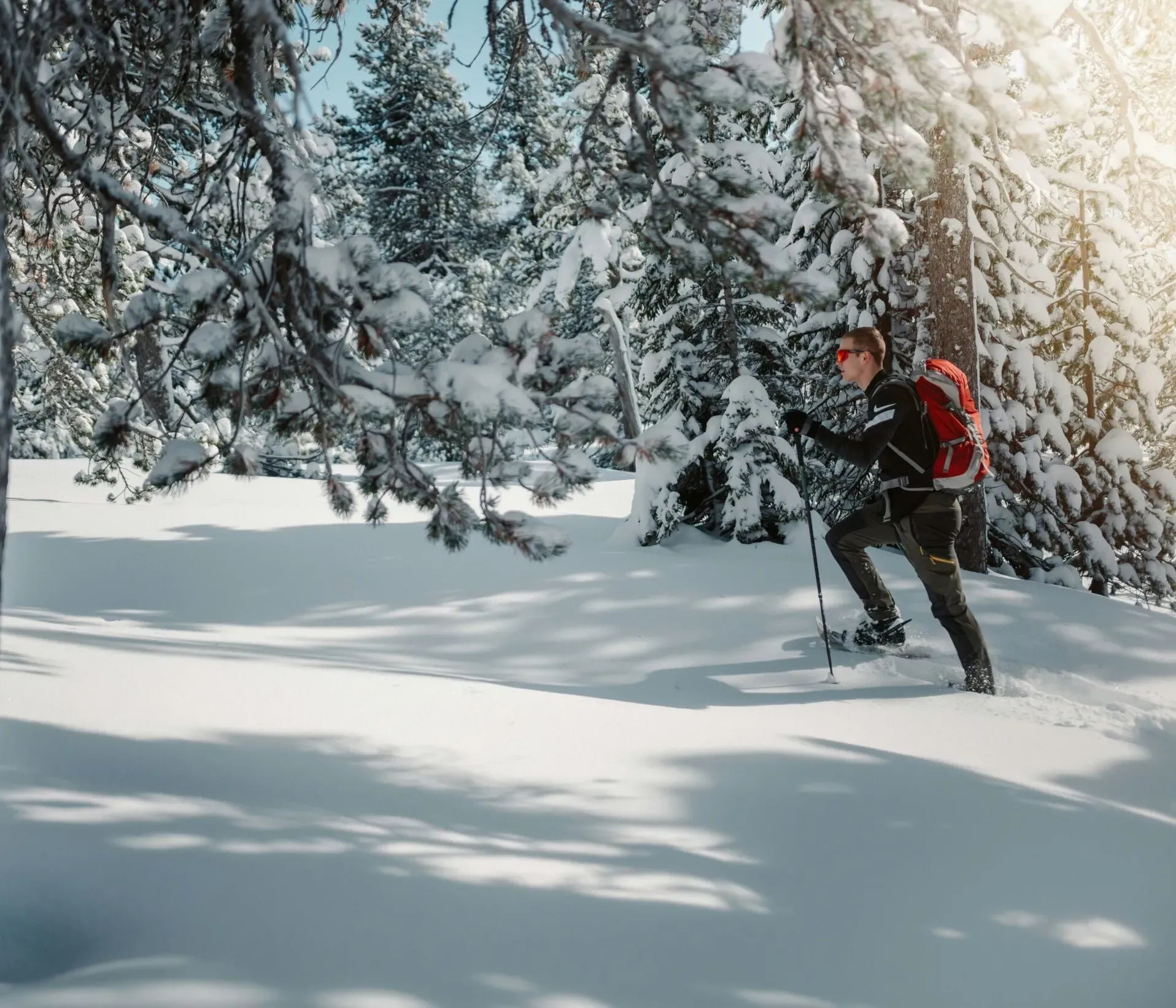 Joris meier RMQHK3j Hs Y unsplash